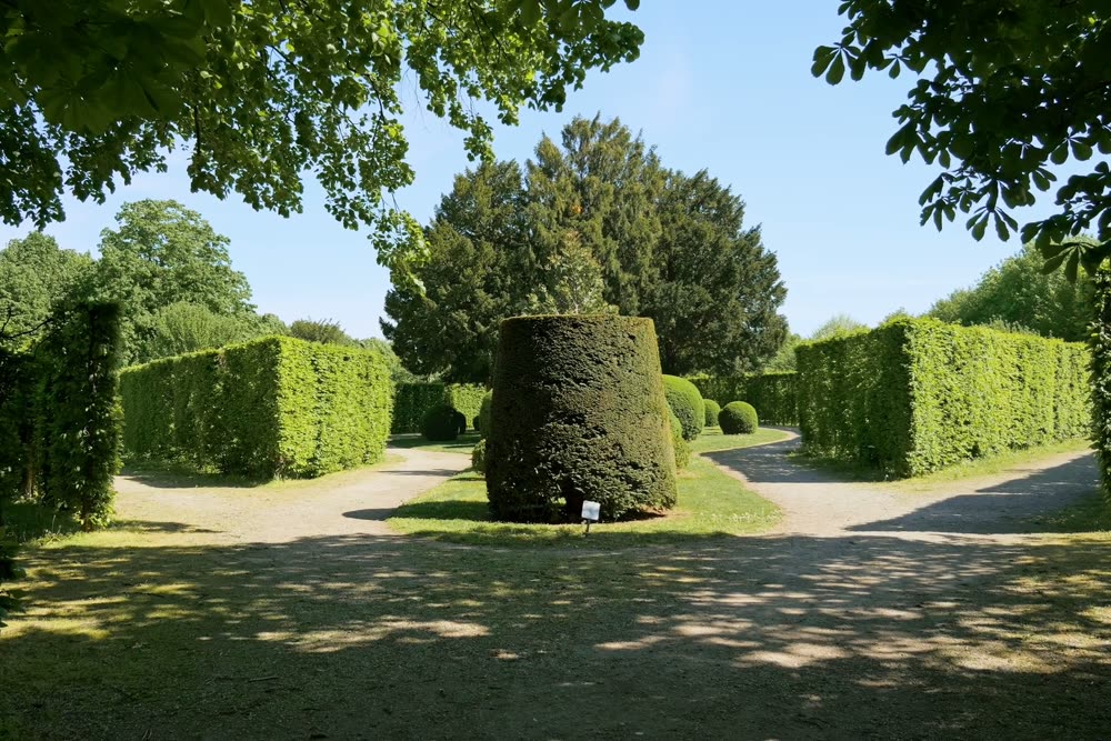 Hækklipning