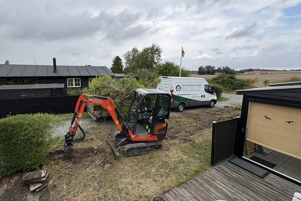 Opgravning af hæk