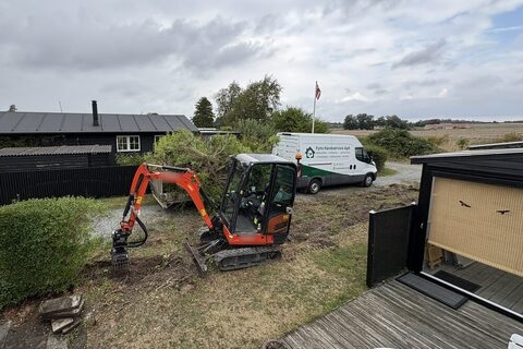 Opgravning af hæk